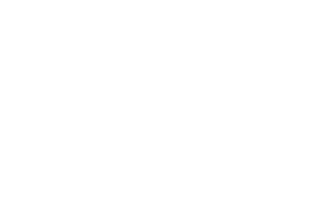 white DCS logo